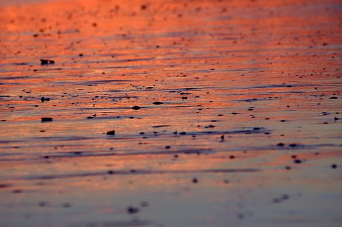 Sunless Sunset