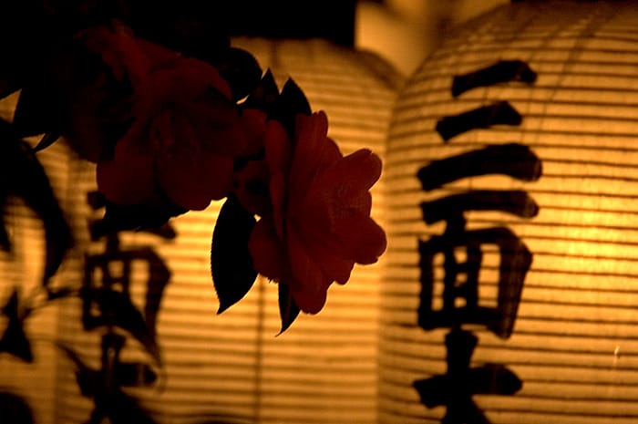Kyoto Night