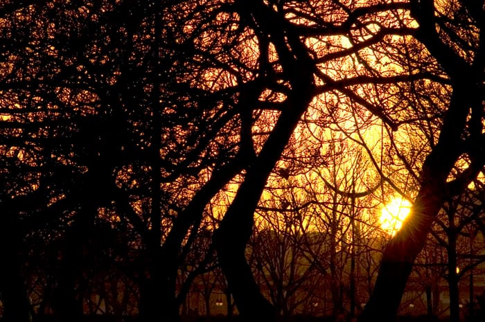 Paris Sunset