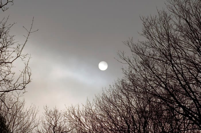 Polish Sun