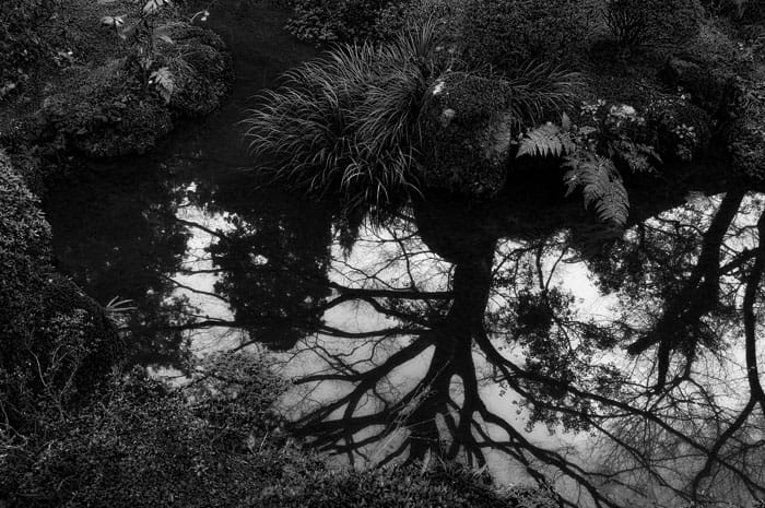 Reflection
