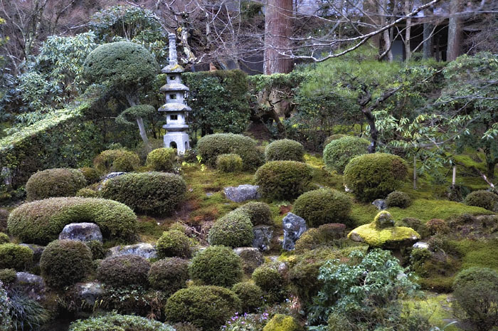 a picture called Ohara Garden should be here...